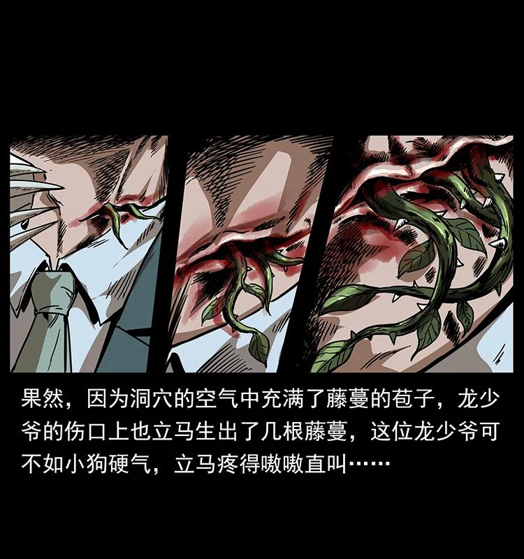 幽冥诡匠 193 草蛊婆 第11页