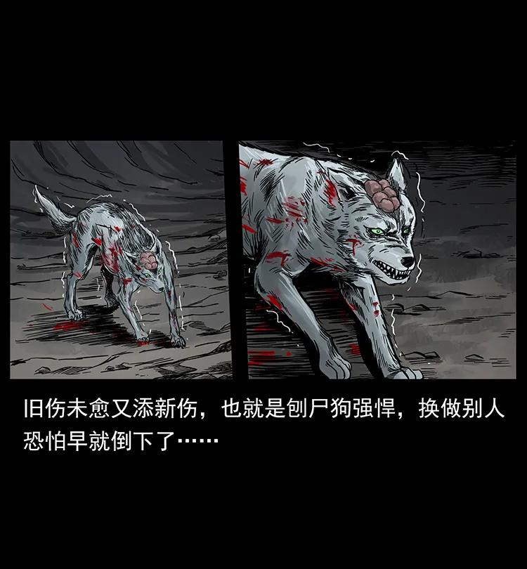 幽冥诡匠 197 神之眼 第67页