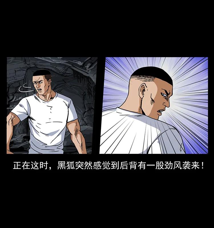 幽冥诡匠 199 黑狐不好惹 第15页