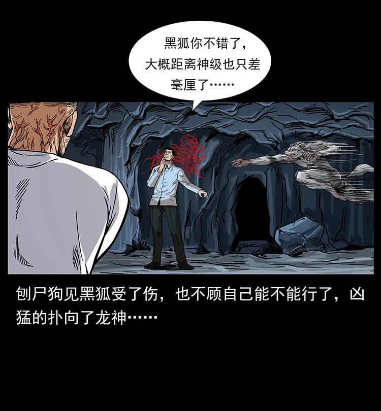 幽冥诡匠 199 黑狐不好惹 第35页