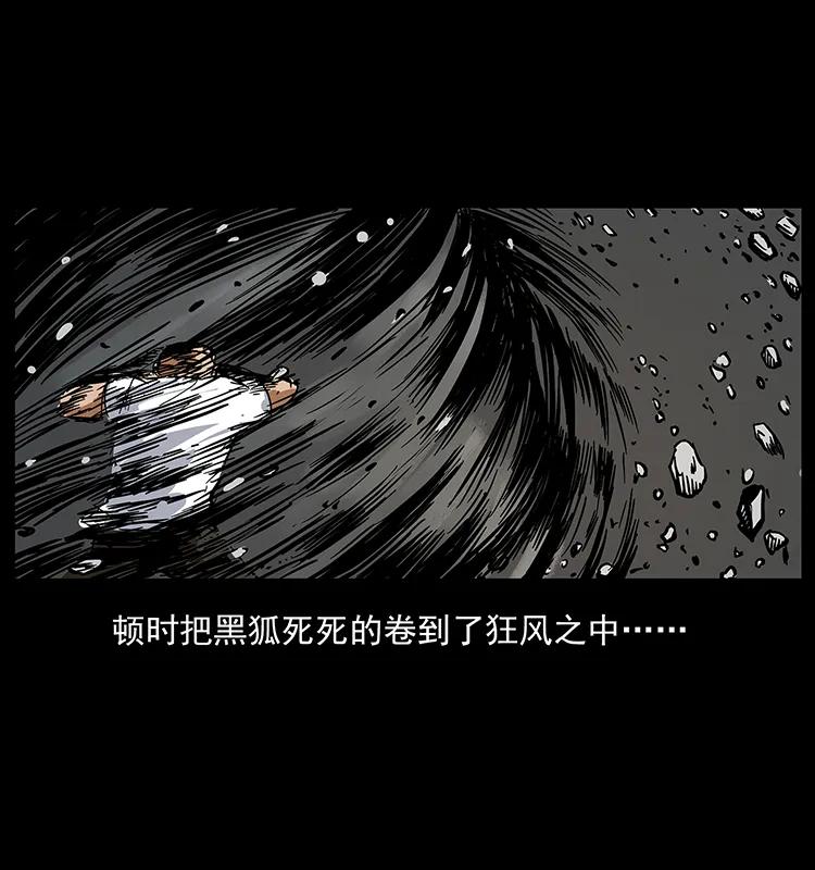 幽冥诡匠 199 黑狐不好惹 第18页