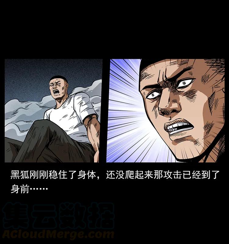 幽冥诡匠 199 黑狐不好惹 第29页