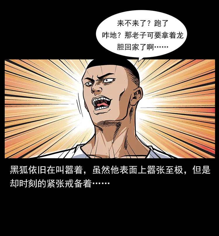 幽冥诡匠 199 黑狐不好惹 第14页