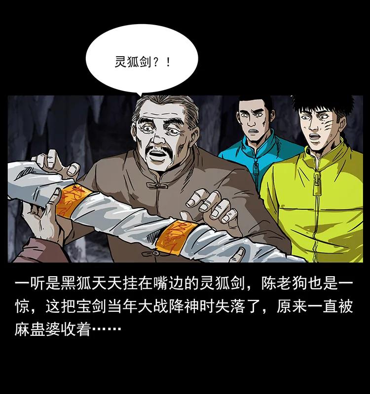 幽冥诡匠 199 黑狐不好惹 第74页