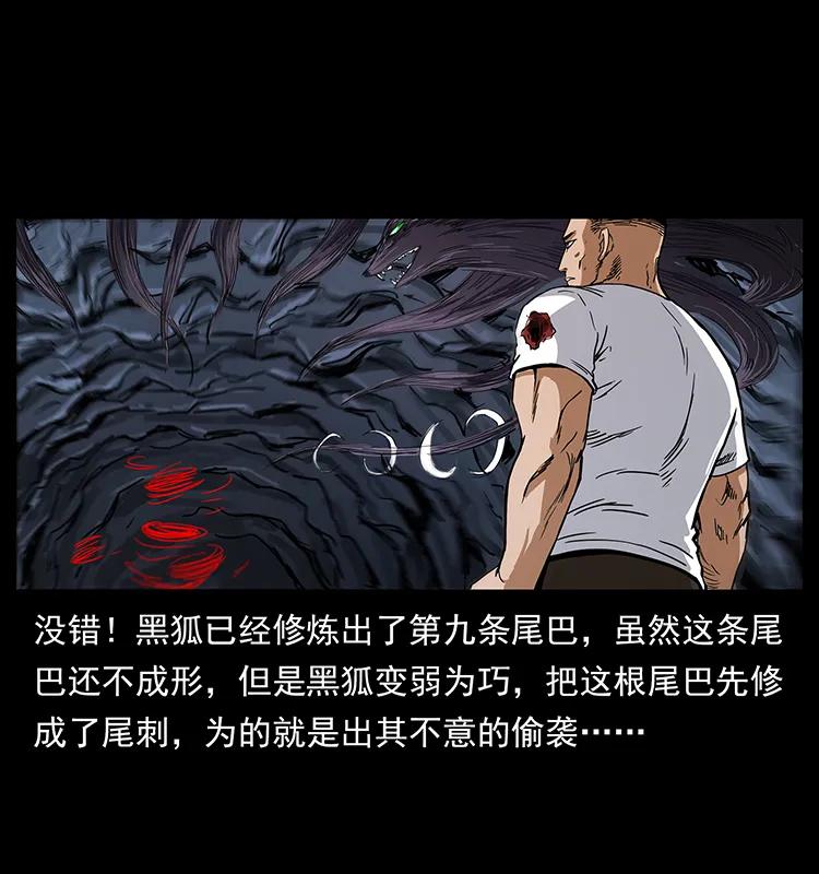 幽冥诡匠 199 黑狐不好惹 第51页