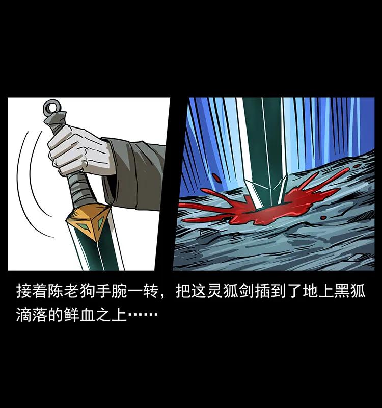 幽冥诡匠 199 黑狐不好惹 第79页
