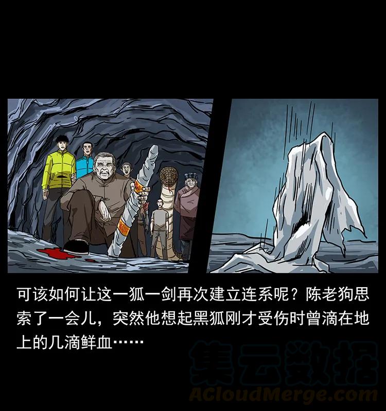 幽冥诡匠 199 黑狐不好惹 第77页