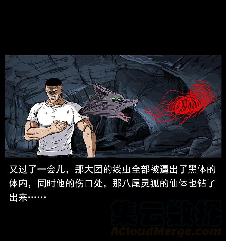 幽冥诡匠 199 黑狐不好惹 第41页