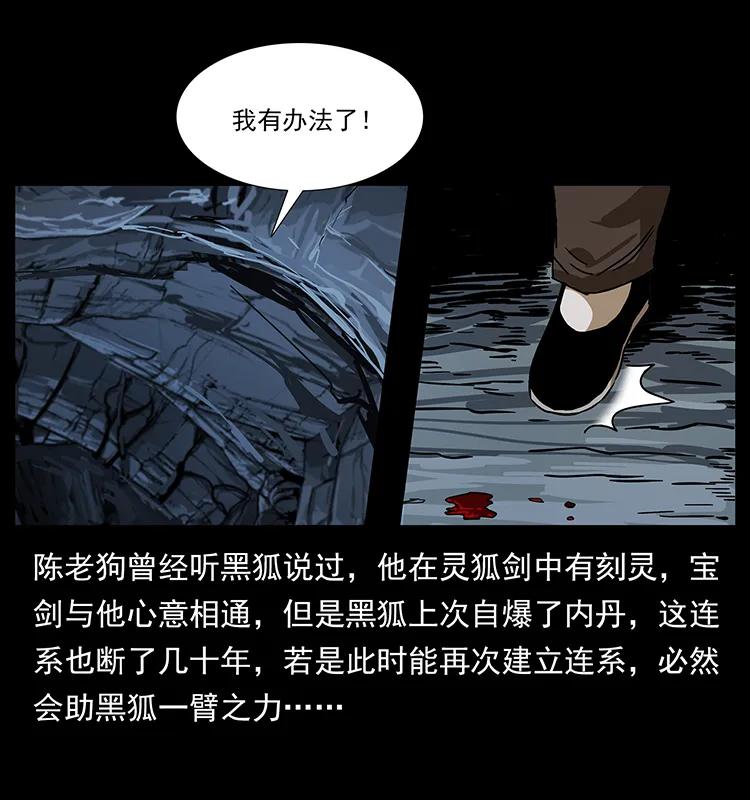 幽冥诡匠 199 黑狐不好惹 第76页