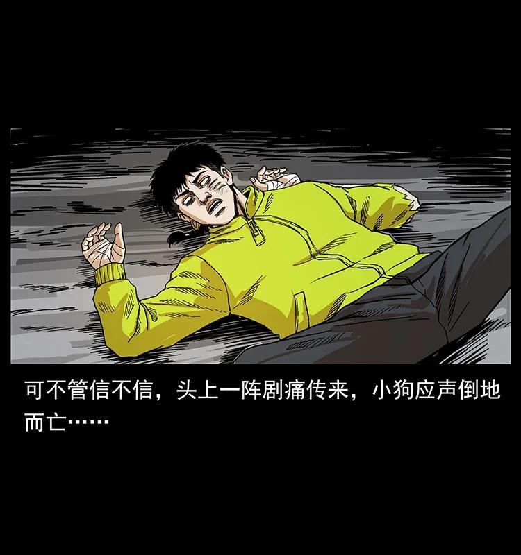 幽冥诡匠 202 龙胆 第25页
