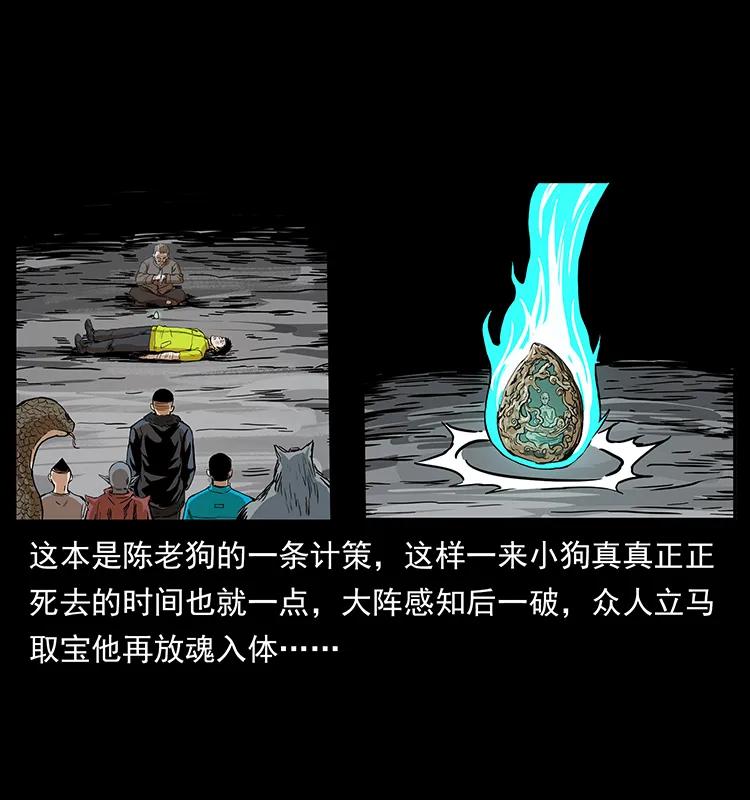 幽冥诡匠 202 龙胆 第30页