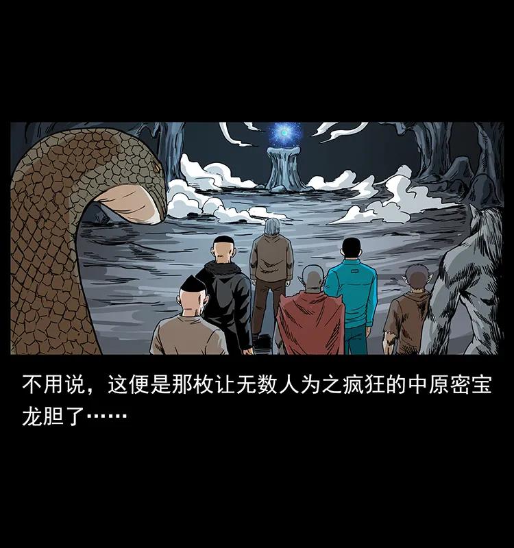 幽冥诡匠 202 龙胆 第41页