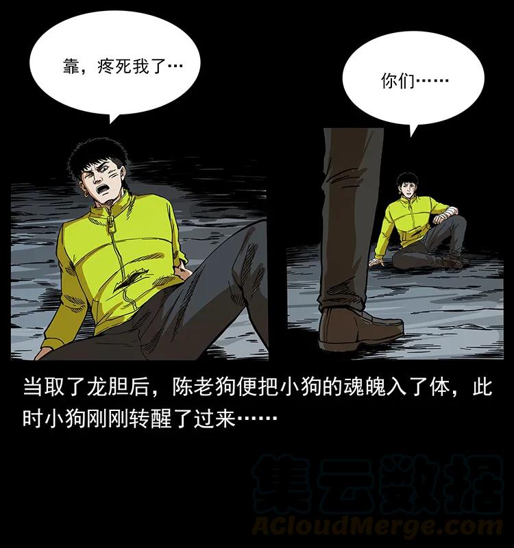 幽冥诡匠 202 龙胆 第52页