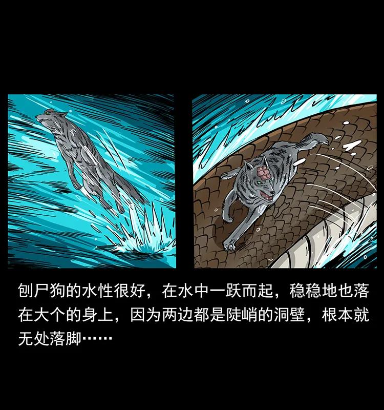 幽冥诡匠 203 命丧龙洞 第44页