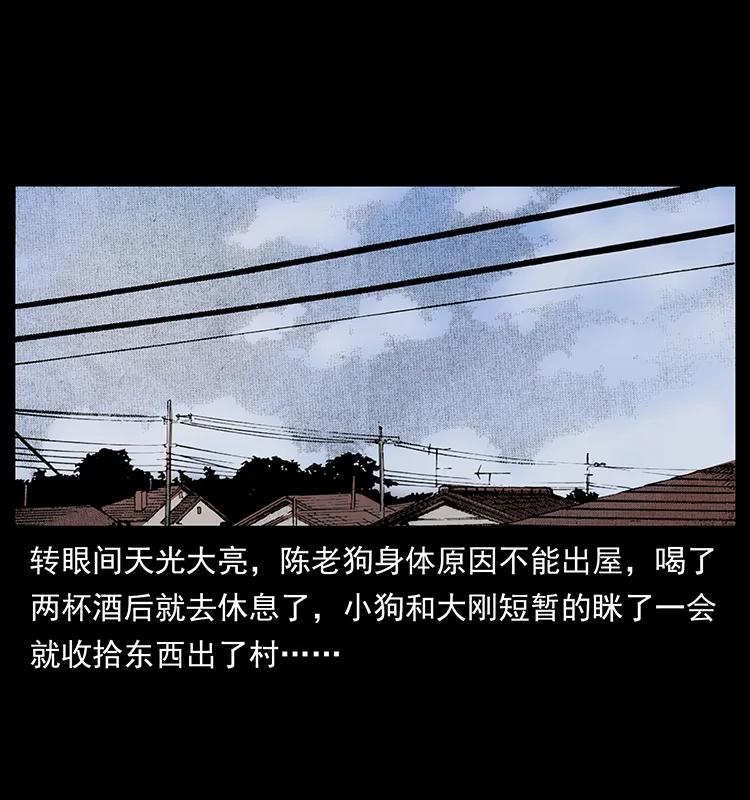 幽冥诡匠 206 不断成长的陈小狗 第66页