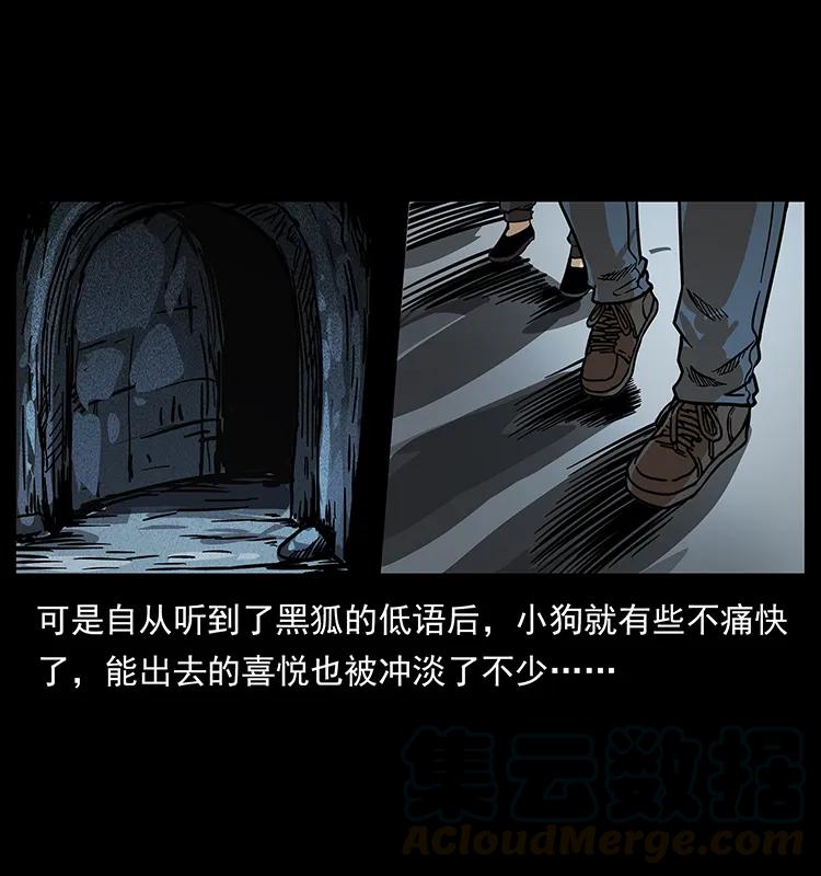 幽冥诡匠 206 不断成长的陈小狗 第49页