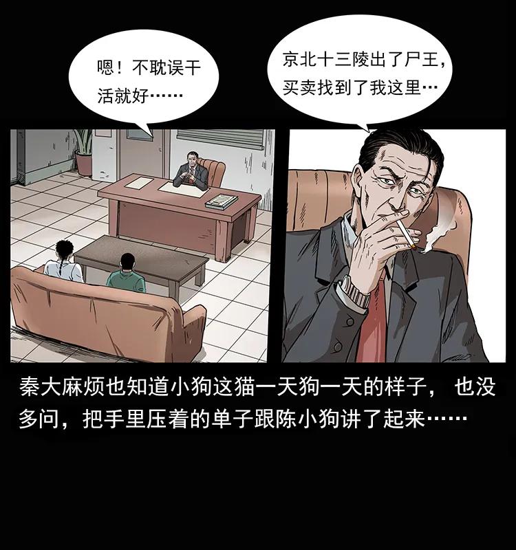幽冥诡匠 207 尸王！ 第28页