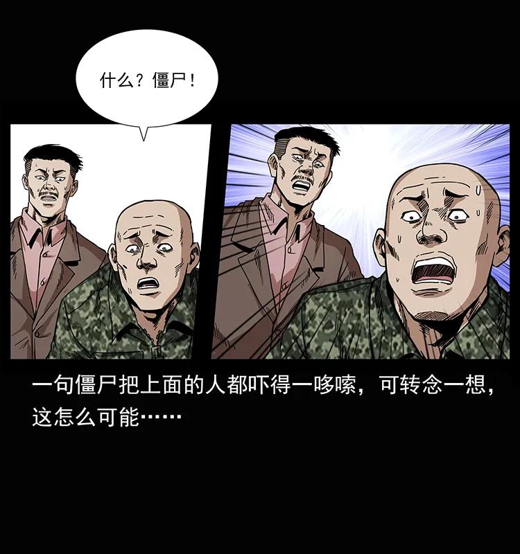 幽冥诡匠 207 尸王！ 第46页