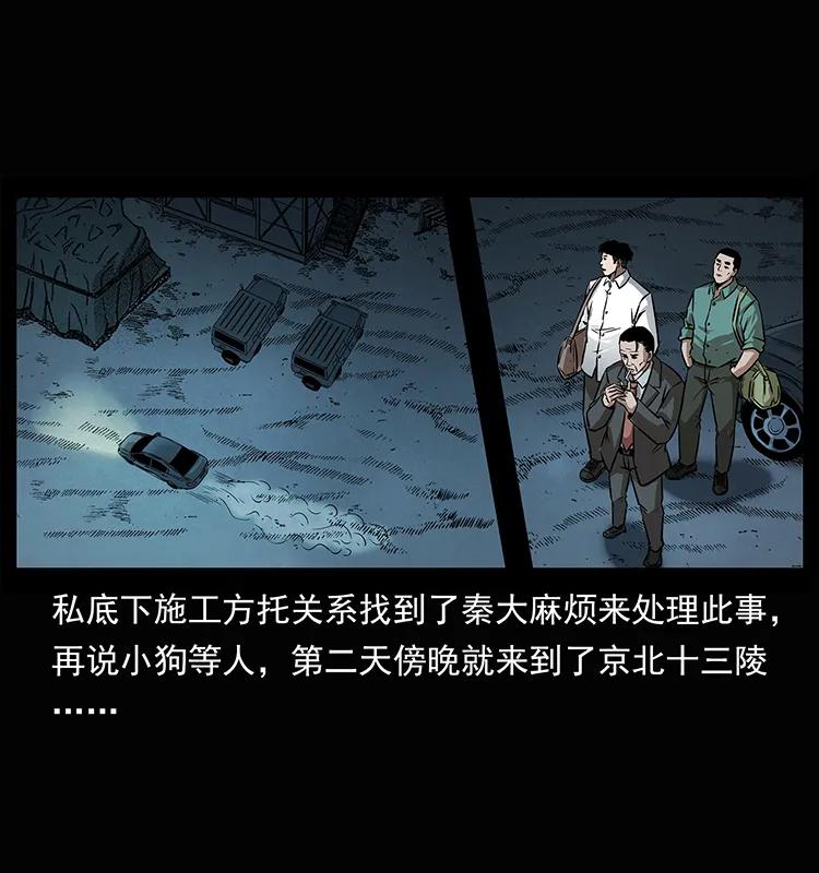 幽冥诡匠 207 尸王！ 第66页