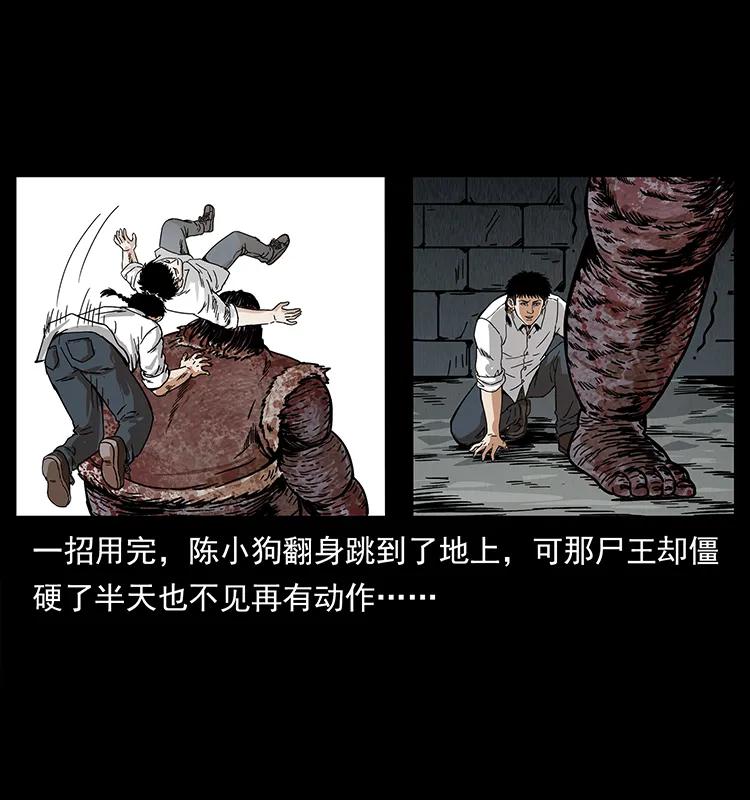 幽冥诡匠 208 哪来的尸王 第80页