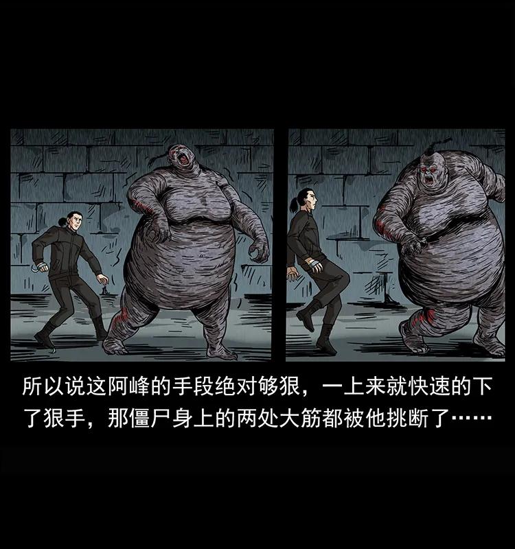 幽冥诡匠 208 哪来的尸王 第43页