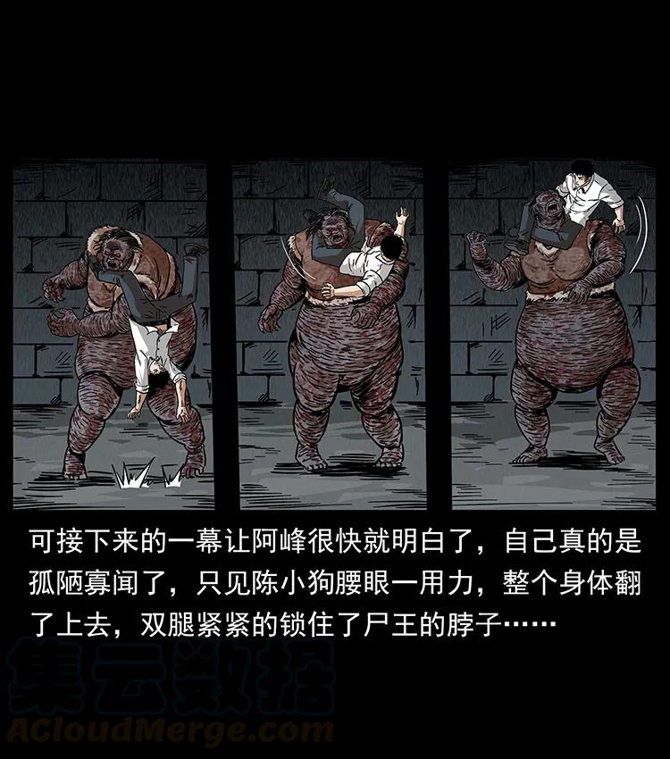 幽冥诡匠 208 哪来的尸王 第77页