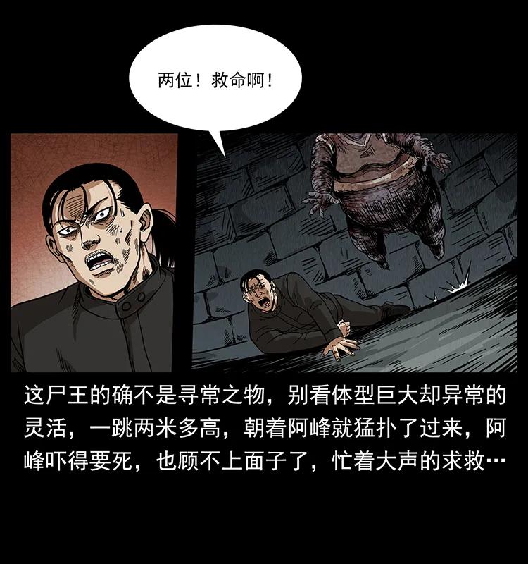 幽冥诡匠 208 哪来的尸王 第67页