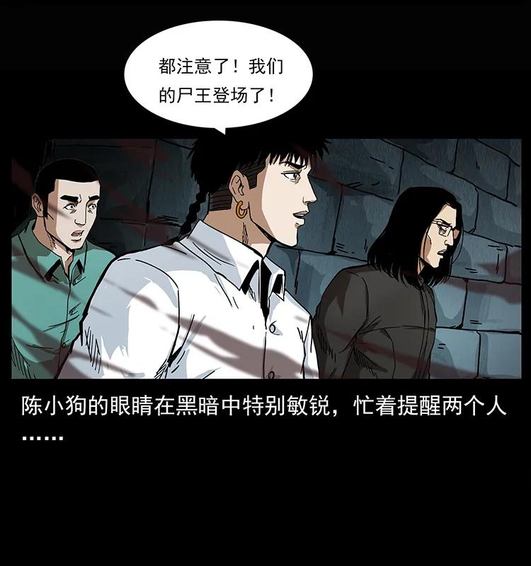 幽冥诡匠 208 哪来的尸王 第23页