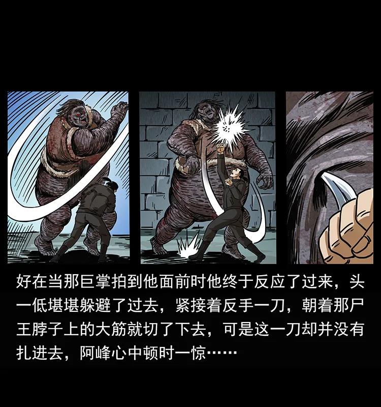 幽冥诡匠 208 哪来的尸王 第63页
