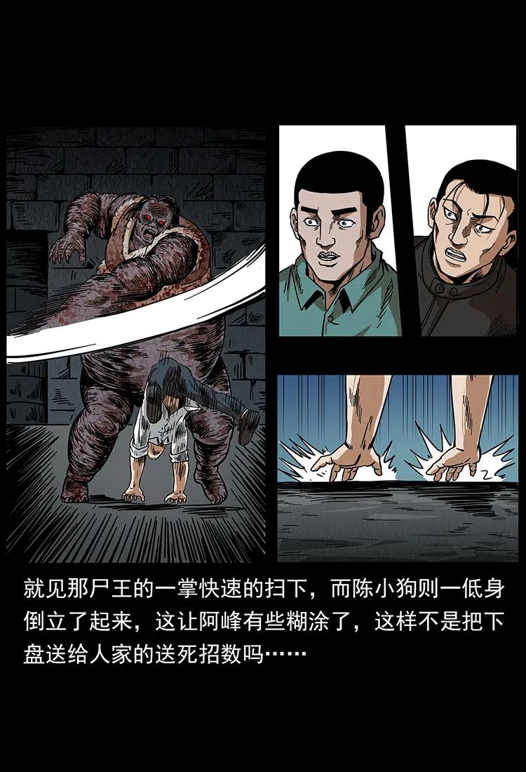 幽冥诡匠 208 哪来的尸王 第76页