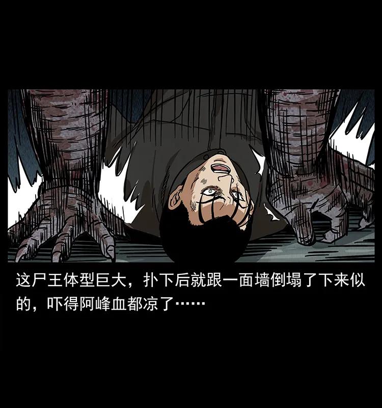 幽冥诡匠 208 哪来的尸王 第70页