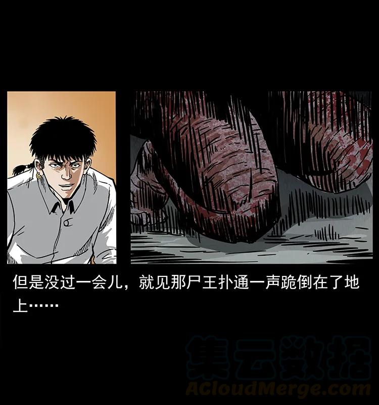 幽冥诡匠 208 哪来的尸王 第81页
