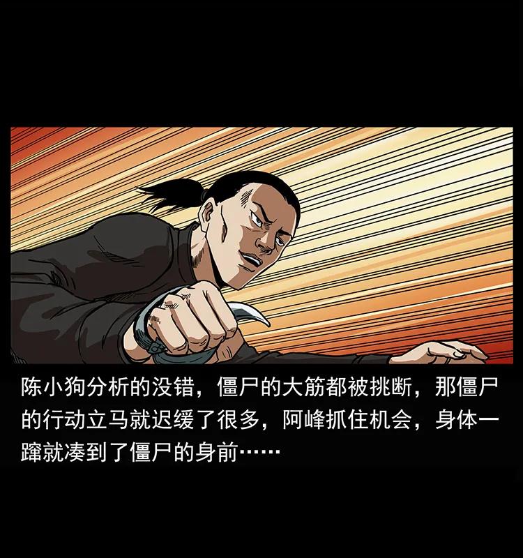幽冥诡匠 208 哪来的尸王 第47页