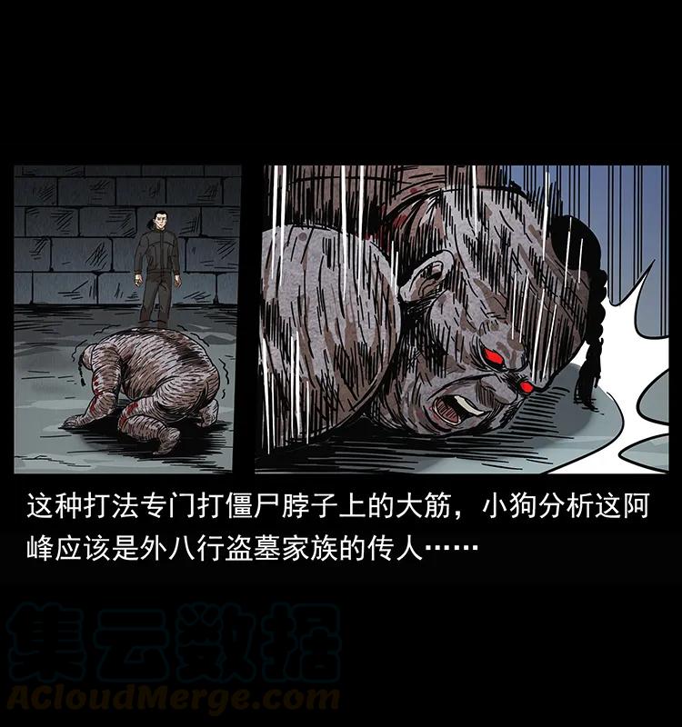 幽冥诡匠 208 哪来的尸王 第53页
