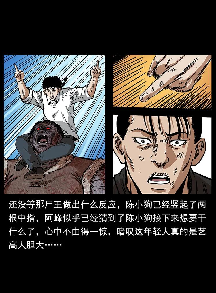幽冥诡匠 208 哪来的尸王 第78页