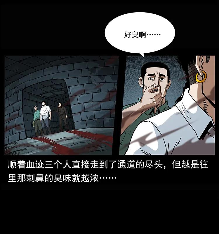幽冥诡匠 208 哪来的尸王 第22页