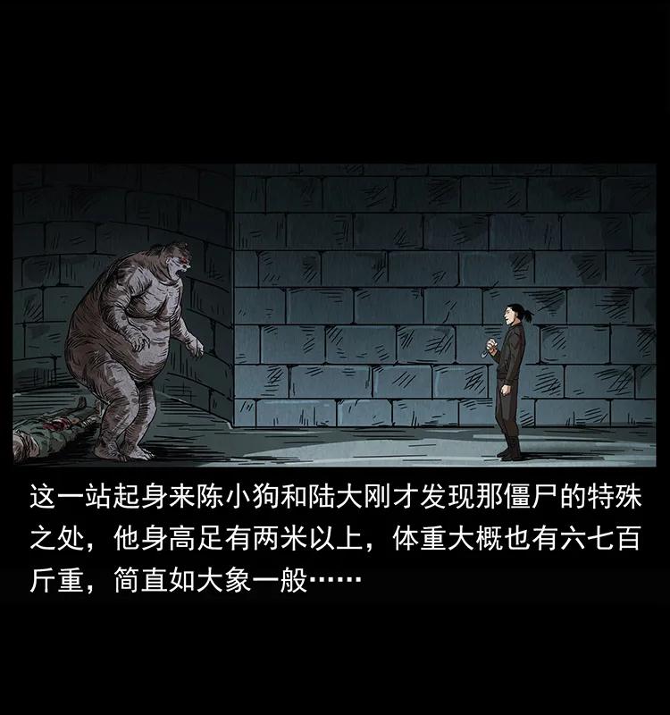 幽冥诡匠 208 哪来的尸王 第39页