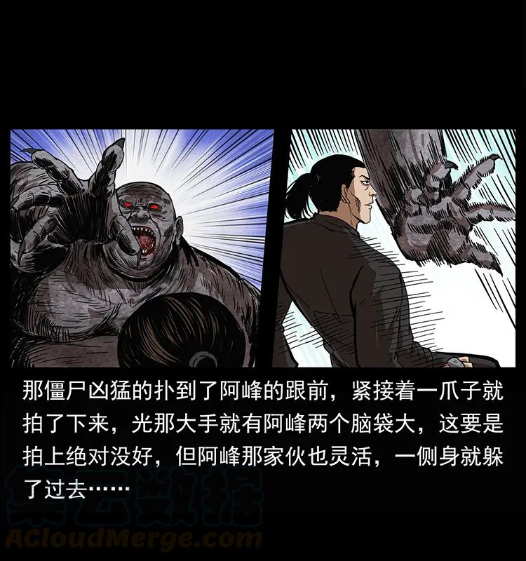 幽冥诡匠 208 哪来的尸王 第41页