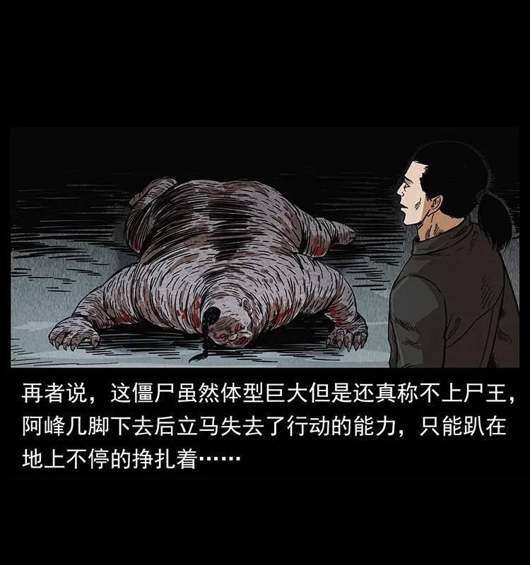 幽冥诡匠 208 哪来的尸王 第54页