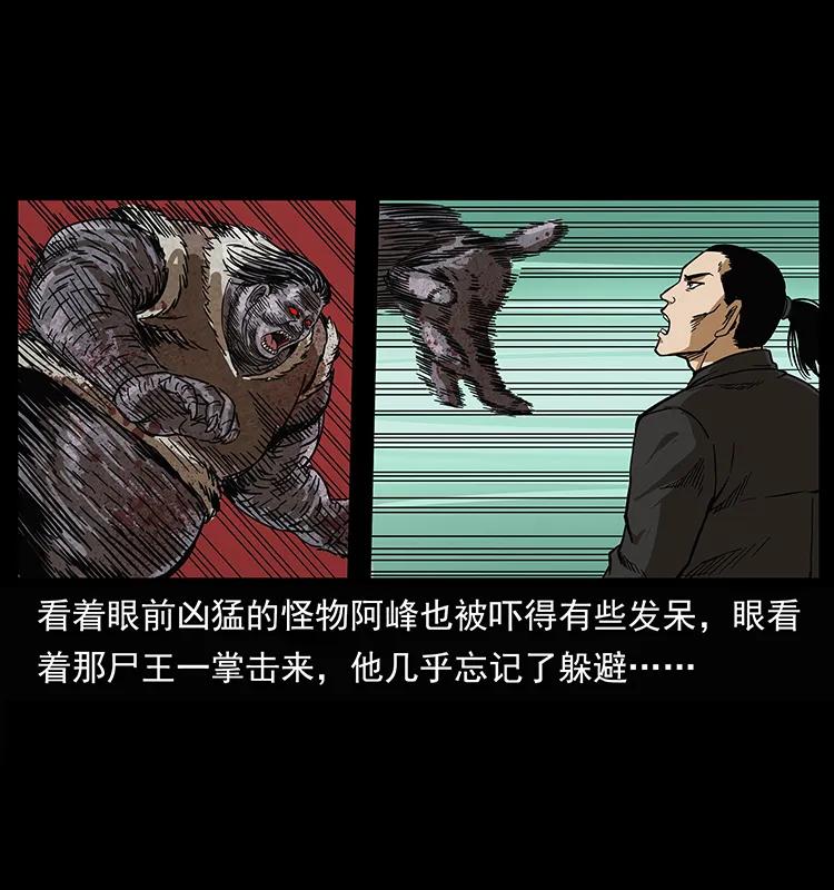 幽冥诡匠 208 哪来的尸王 第62页