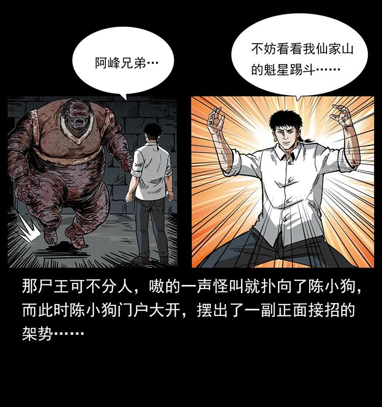 幽冥诡匠 208 哪来的尸王 第75页
