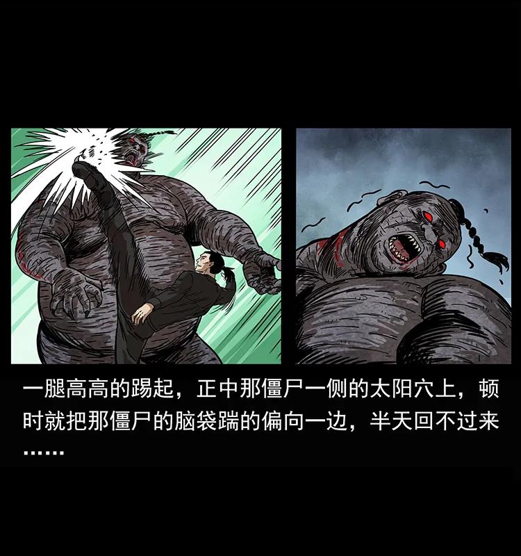 幽冥诡匠 208 哪来的尸王 第48页