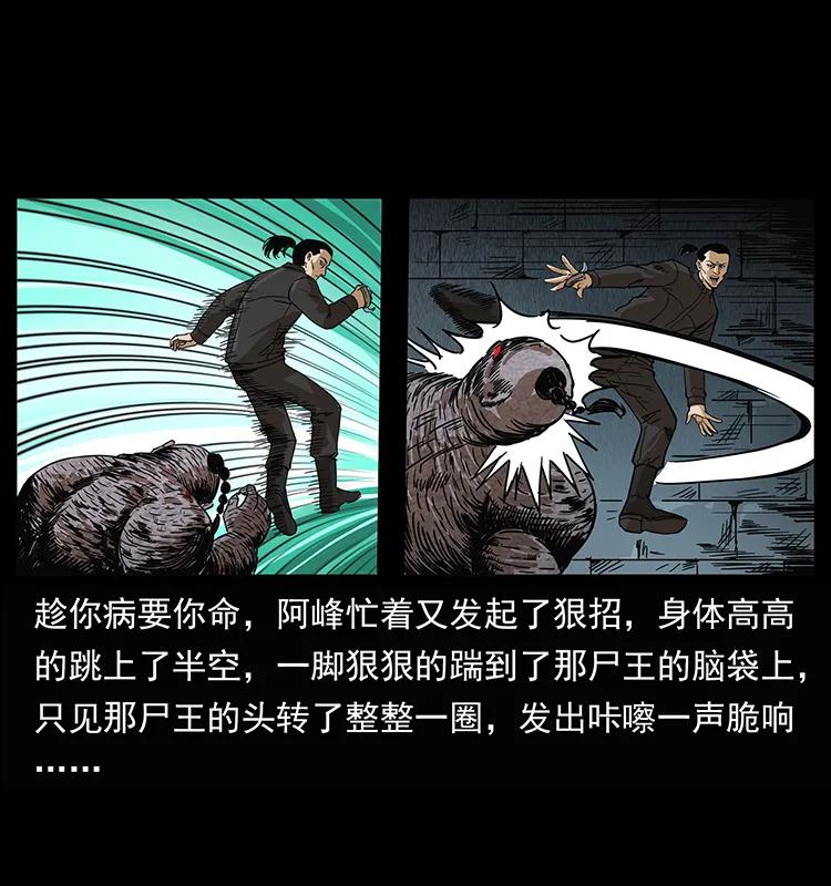幽冥诡匠 208 哪来的尸王 第51页