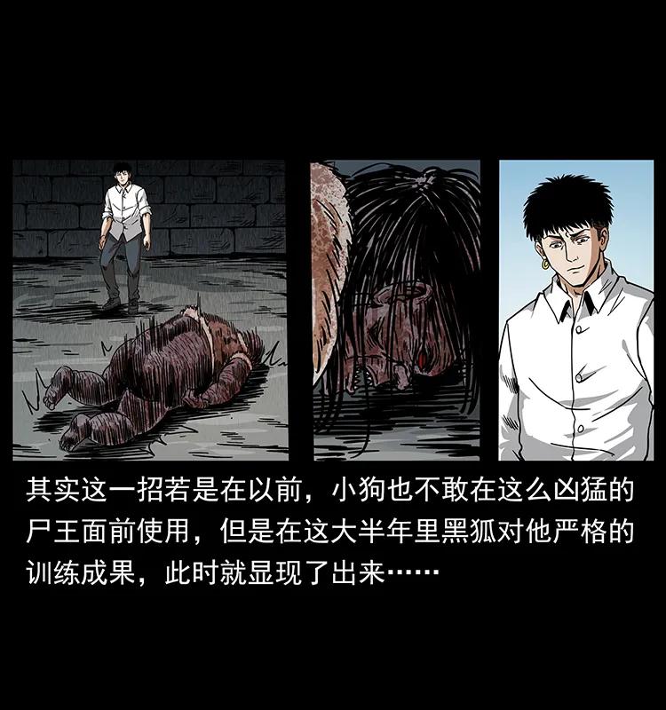幽冥诡匠 208 哪来的尸王 第82页
