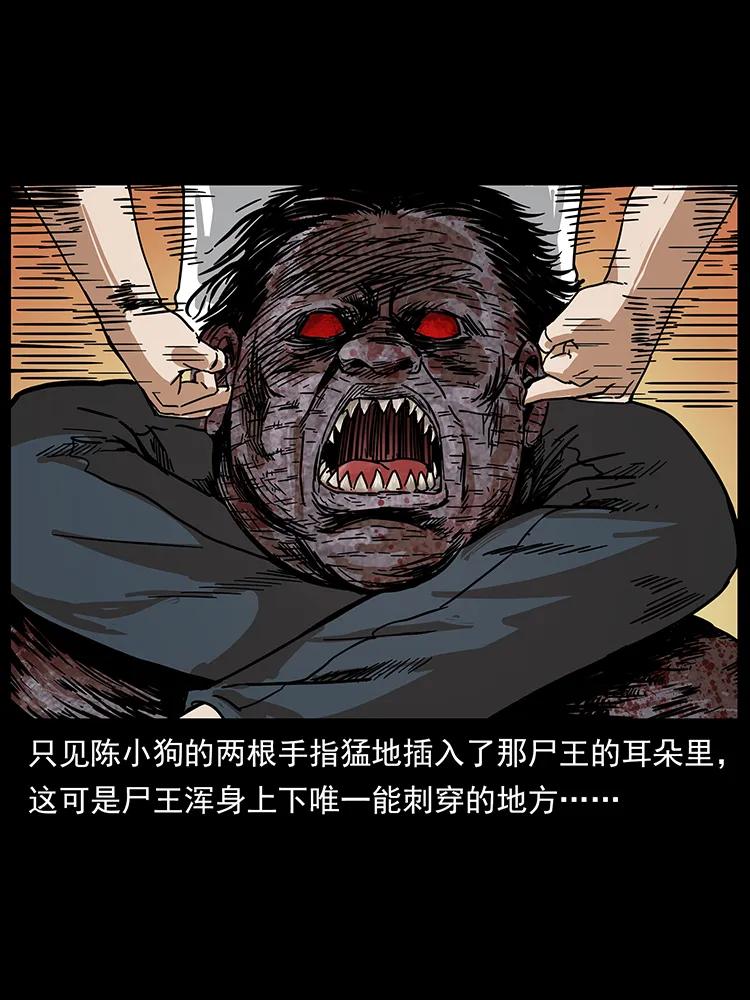幽冥诡匠 208 哪来的尸王 第79页