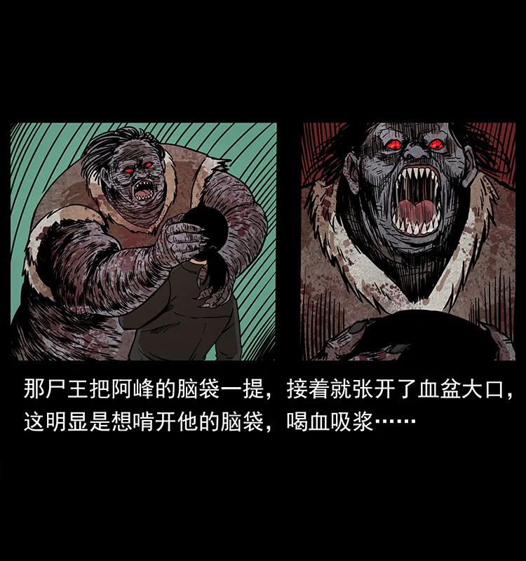 幽冥诡匠 208 哪来的尸王 第71页
