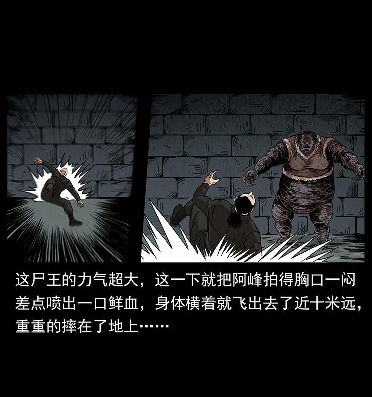 幽冥诡匠 208 哪来的尸王 第66页