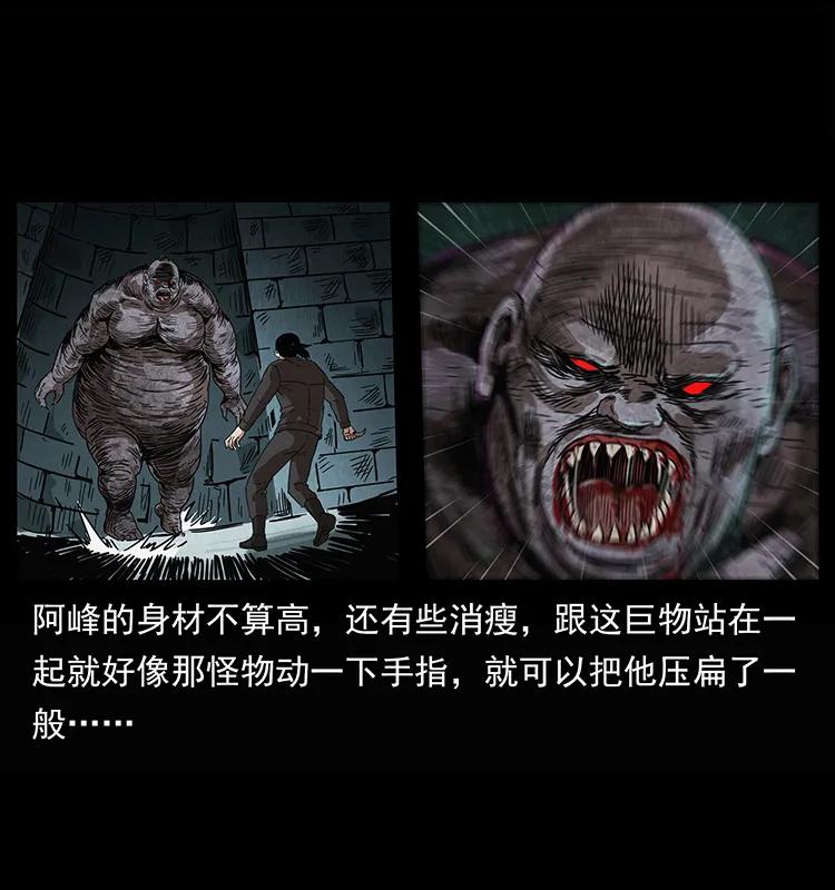 幽冥诡匠 208 哪来的尸王 第40页
