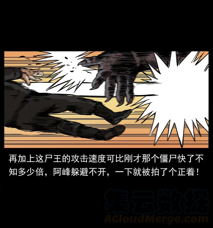 幽冥诡匠 208 哪来的尸王 第65页