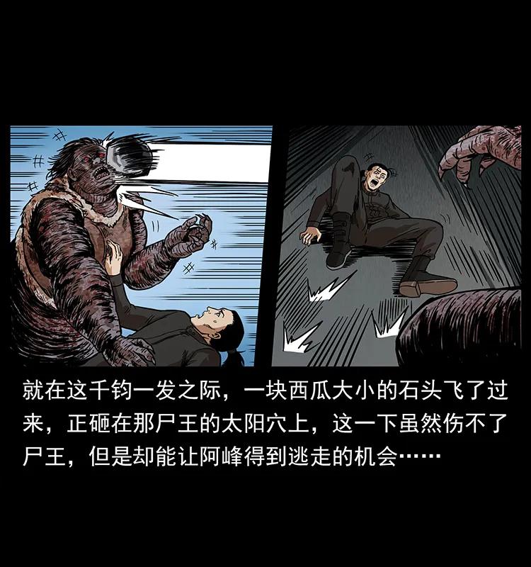 幽冥诡匠 208 哪来的尸王 第72页